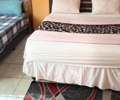 VEREENIGING 53 KRUGER SALVADOR GUEST HOUSE - 3